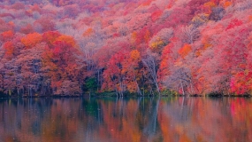 [December 2025] Newsletter Tax & Legal Update