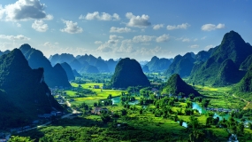 Transfer pricing review