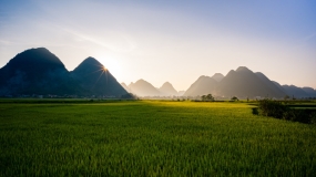 Transfer pricing investigation support