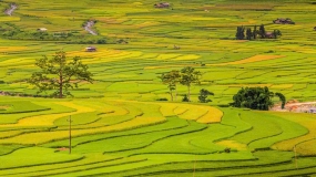 Vietnamese Accounting Standards