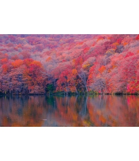 [December 2025] Newsletter Tax & Legal Update